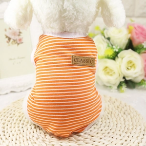 Détail du gilet rayé orange pour animaux avec patch en cuir et tissu respirant