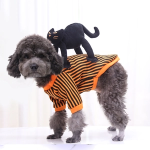 Detail of pet Halloween sweater featuring orange stripes and a black cat plush toy