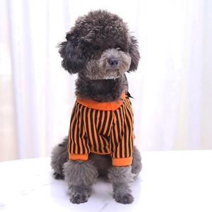 Detail of orange and black striped pet hoodie on a grey poodle for Halloween