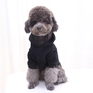 Detail of black pet hoodie showing cozy knitted fabric and hood on a small toy poodle