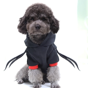 Detail of funny black hooded pet costume with red cuffs and devil wings on a poodle