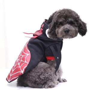 Detail of pet Halloween spider web hoodie featuring red cuffs on grey poodle