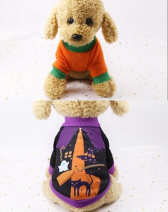 Detail view of Halloween pet sweaters with orange and black festive graphic patterns