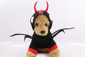 Detail of pet hoodie with devil horns and wings for Halloween or Christmas