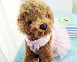 Close-up of pink polka dot pet tutu dress with white resin snap buttons on a toy dog