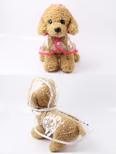 Λεπτομέρεια διαφανούς αδιάβροχου κατοικίδιων με χρωματιστό περίγραμμα και κουμπιά