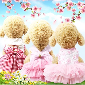 Three small dogs wearing cute striped mesh tutu dresses in a floral garden setting