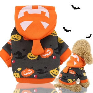 Detail of orange pumpkin hoodie for pets with festive patterns and elastic cuffs