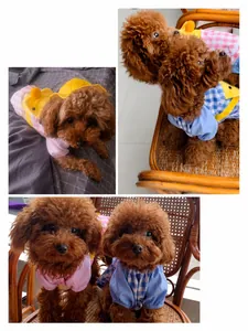 Detail of pink and blue plaid pet shirts with cute yellow duck sun hat decoration
