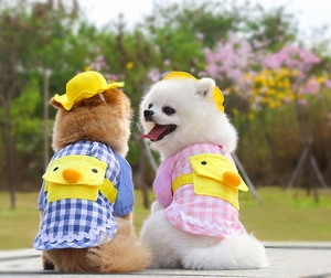 Detail of pet dog dress with yellow duck backpack pocket and matching sun hat set