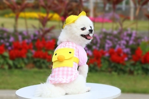 Pink checkered pet dress with yellow duck backpack and matching sun hat for small dogs