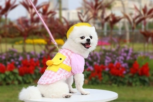 Pink checkered pet dress with yellow hat and small backpack detail for small dogs
