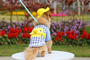 Detail of dog summer outfit with blue plaid shirt and yellow cartoon duck backpack