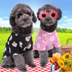 Daisy print pet t-shirt set in black and pink for small dogs on grass picnic scene
