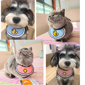 Cute knitted pet bibs with duck and bell patterns for cats and small dogs