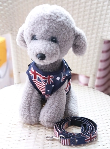 Detail of dog harness and leash set with Australian flag print on plush poodle model