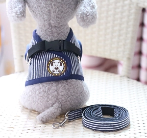 Detail of blue striped dog harness set with metal D-ring and SHINE cartoon logo
