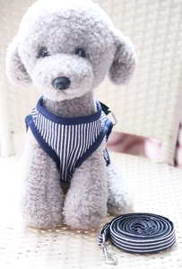 Blue and white striped dog harness with matching leash on a plush poodle model