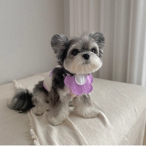 Détail d'un bavoir fleur violette et d'un ensemble de gilet tricoté pour petits chiens