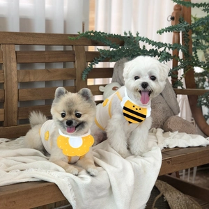 Gros plan de bandanas pour animaux avec fleurs et abeilles pour petits chiens et chats