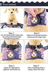 British flag pattern pet harness and leash set with step-by-step wearing guide