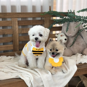 Détail des bavoirs pour animaux à motifs d'abeille et de fleur et t-shirt jaune