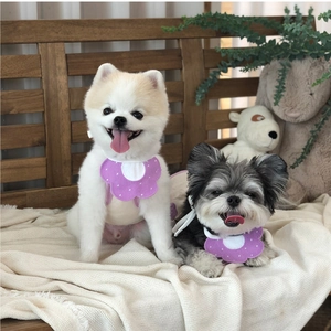 Gros plan d'un bavoir fleuri violet à pois blancs porté par un petit chien en extérieur