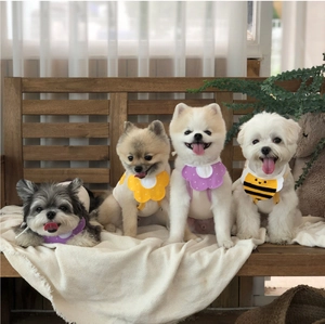 Détail de bandanas souples pour petits chiens aux motifs variés de fleurs et d'abeilles
