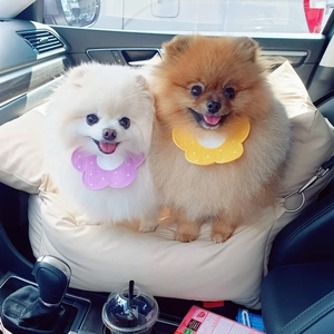 Loulous de Poméranie avec bandanas à fleurs sur un coussin de siège auto pour animaux
