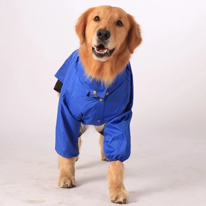 Blue waterproof large dog raincoat with snap closure and elasticated cuffs for Golden Retriever