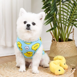 Detail of light blue mesh dog vest with yellow duck print on a white Pomeranian