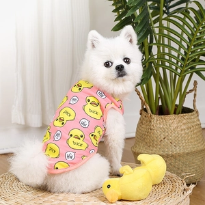 White Pomeranian wearing a pink dog vest with yellow duck prints in a home setting