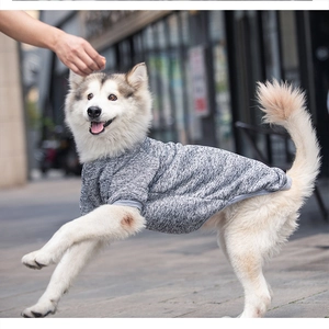 Close-up of grey knit pet sweater texture and ergonomic cuff fit on a large dog