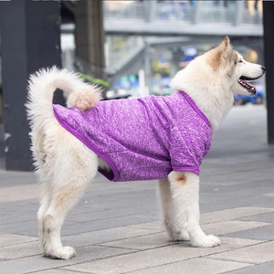 Close-up of a large purple marl knit dog sweater with dark ribbed trim on a city street