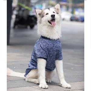 Close-up of a large dog wearing a dark blue knitted hoodie with ribbed trim outdoors
