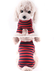 Détail du pull rayé rouge et bleu pour chien montrant la maille côtelée et le col haut