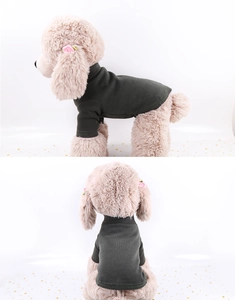 Détail d'un pull en tricot côtelé vert foncé avec col montant sur un modèle pour chien