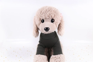 Gros plan du pull pour animaux en maille côtelée vert foncé montrant la texture élastique