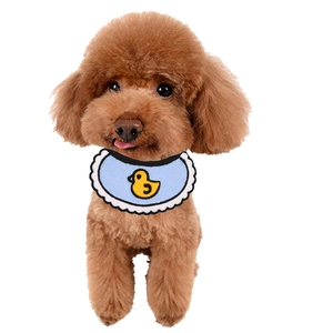 Detail of light blue pet bib with yellow duck pattern on a brown poodle dog