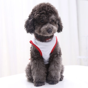 Close-up of a white breathable mesh pet vest with red piping on a grey poodle
