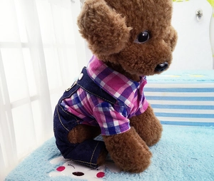 Detail of pink plaid shirt and denim overalls on a small dog with adjustable straps