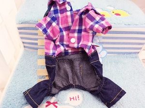 Detail of pink plaid shirt and denim pet overalls with white snap button closures