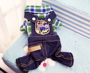 Detail of plaid pet shirt and denim overalls with embroidered badge and leather label
