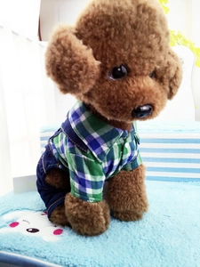 Detail of British style plaid shirt and denim overalls on a poodle plush model