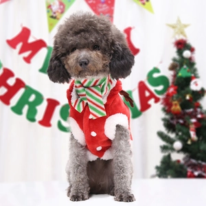 Vêtement de Noël pour chien avec gilet en polaire rouge et écharpe rayée pour petits animaux