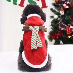 Détail d'un costume de Noël pour animaux en flanelle avec bois de renne et écharpe rayée