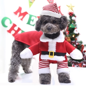 Dettaglio di un cane con un vestito da Babbo Natale, cintura e cappello a righe coordinato