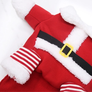 Dettaglio del costume da Babbo Natale per cani con colletto in peluche e cintura con fibbia