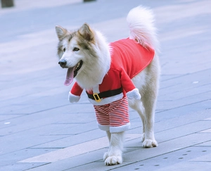 Dettaglio del costume da Babbo Natale per cani medi e grandi in morbido pile caldo