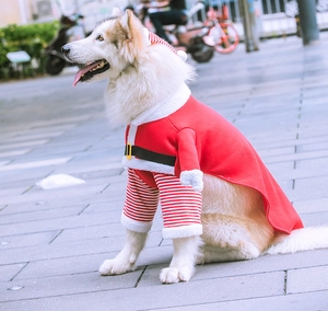 Golden Retriever indossa una mantella con cappuccio in pile stile Babbo Natale